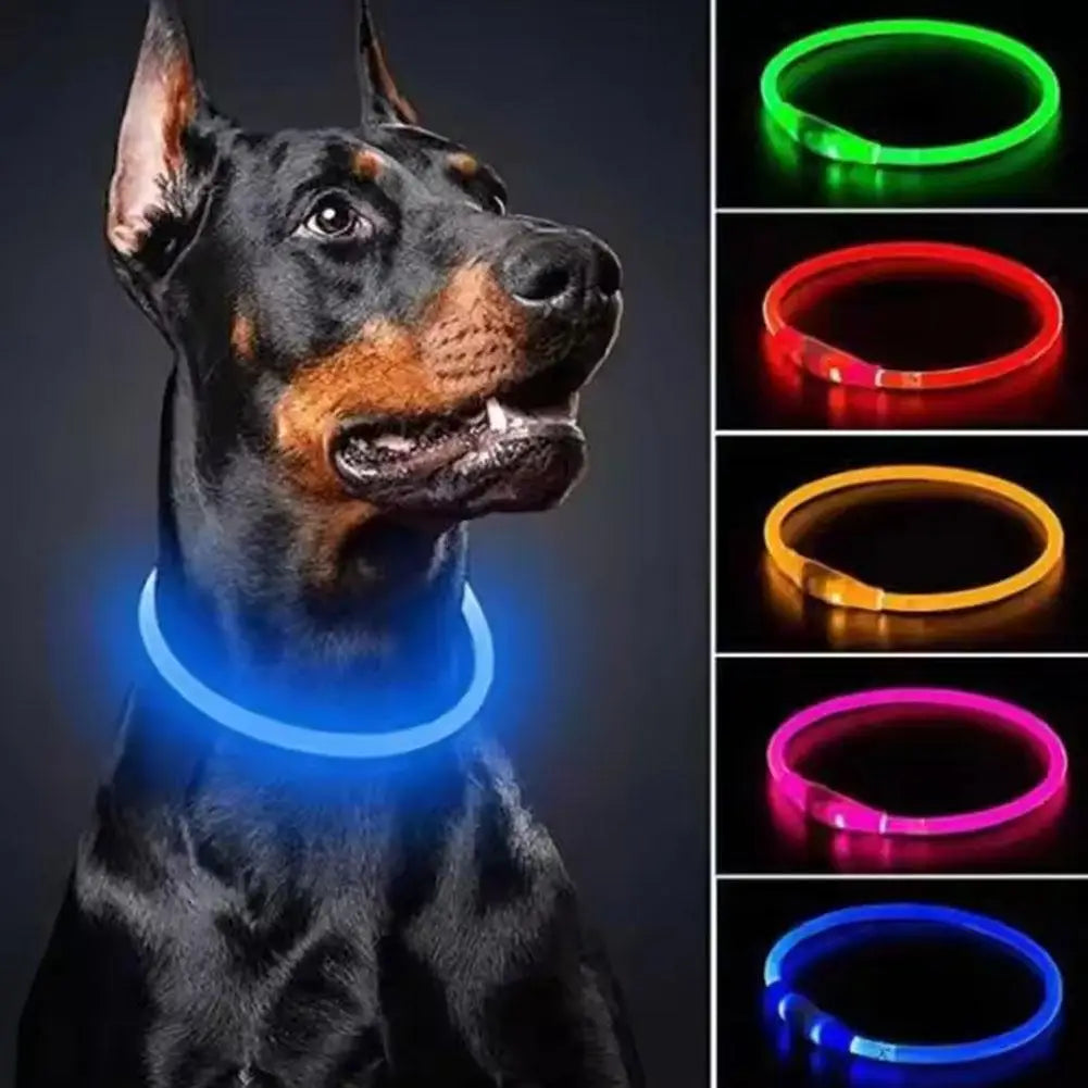 LED Dog Collar Luminous Anti-Lost