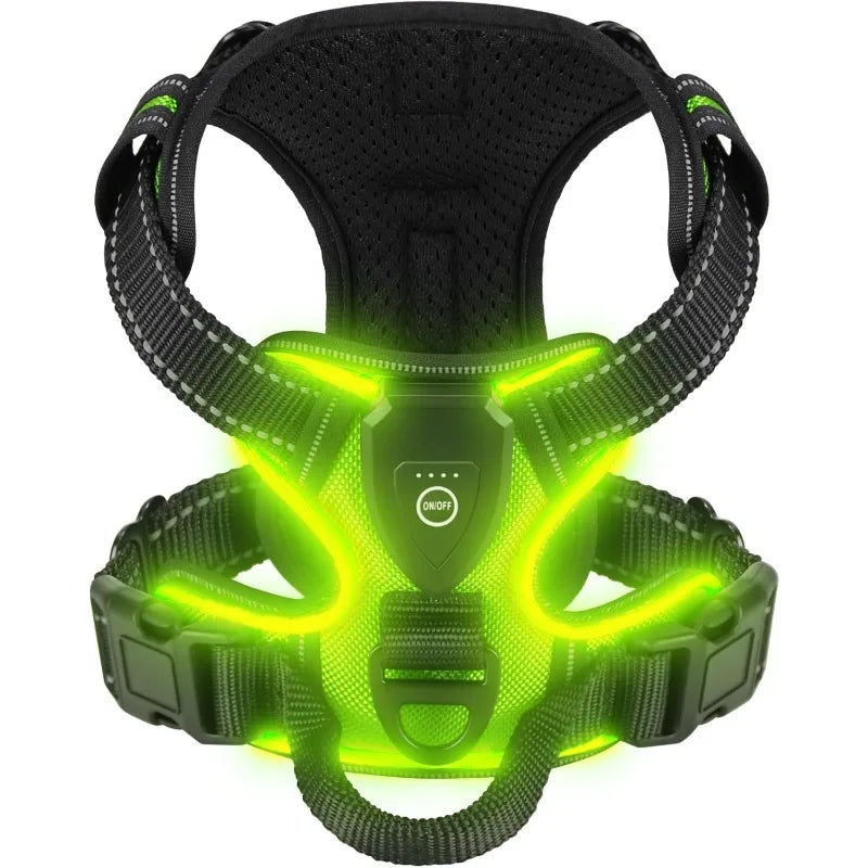 Luminous Dog Harness