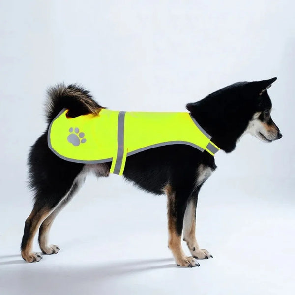 Bright Pup Safety Vest