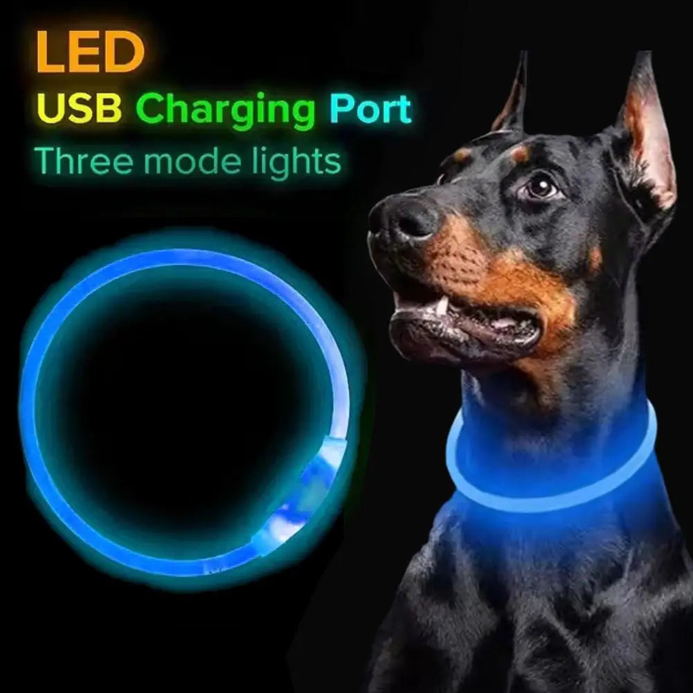 LED Dog Collar Luminous Anti-Lost