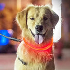 LED Dog Collar Luminous Anti-Lost
