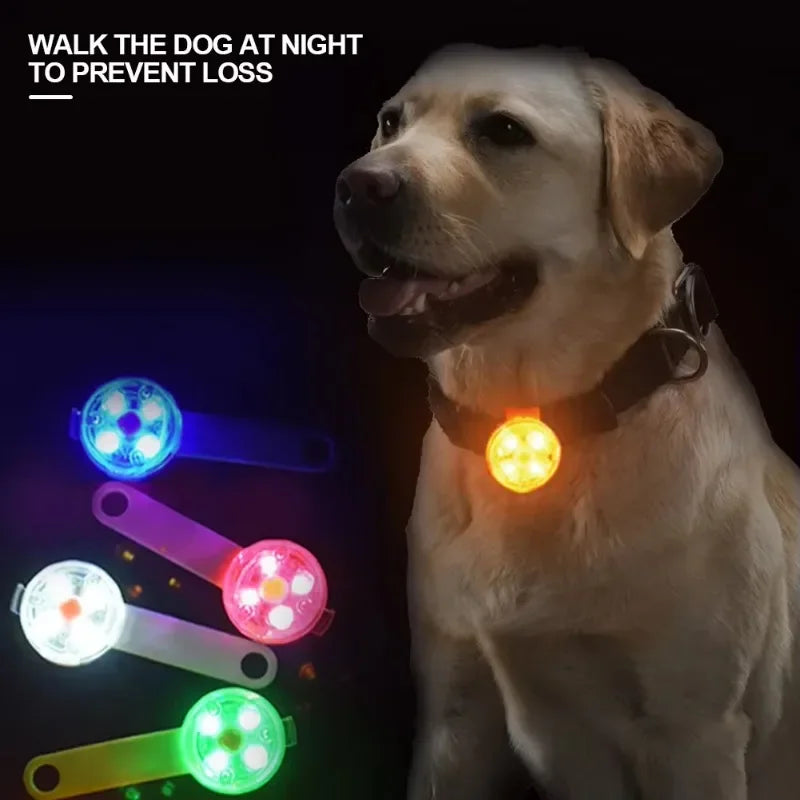 LED Pet Tracking Luminous Pendant