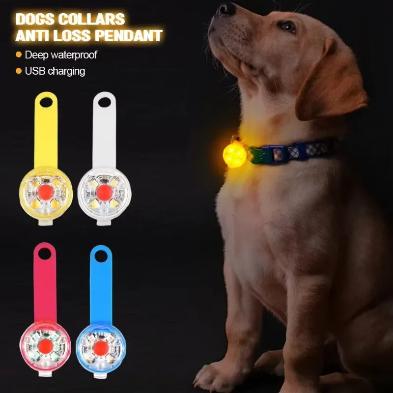 LED Pet Tracking Luminous Pendant