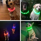 LED Dog Collar Luminous Anti-Lost