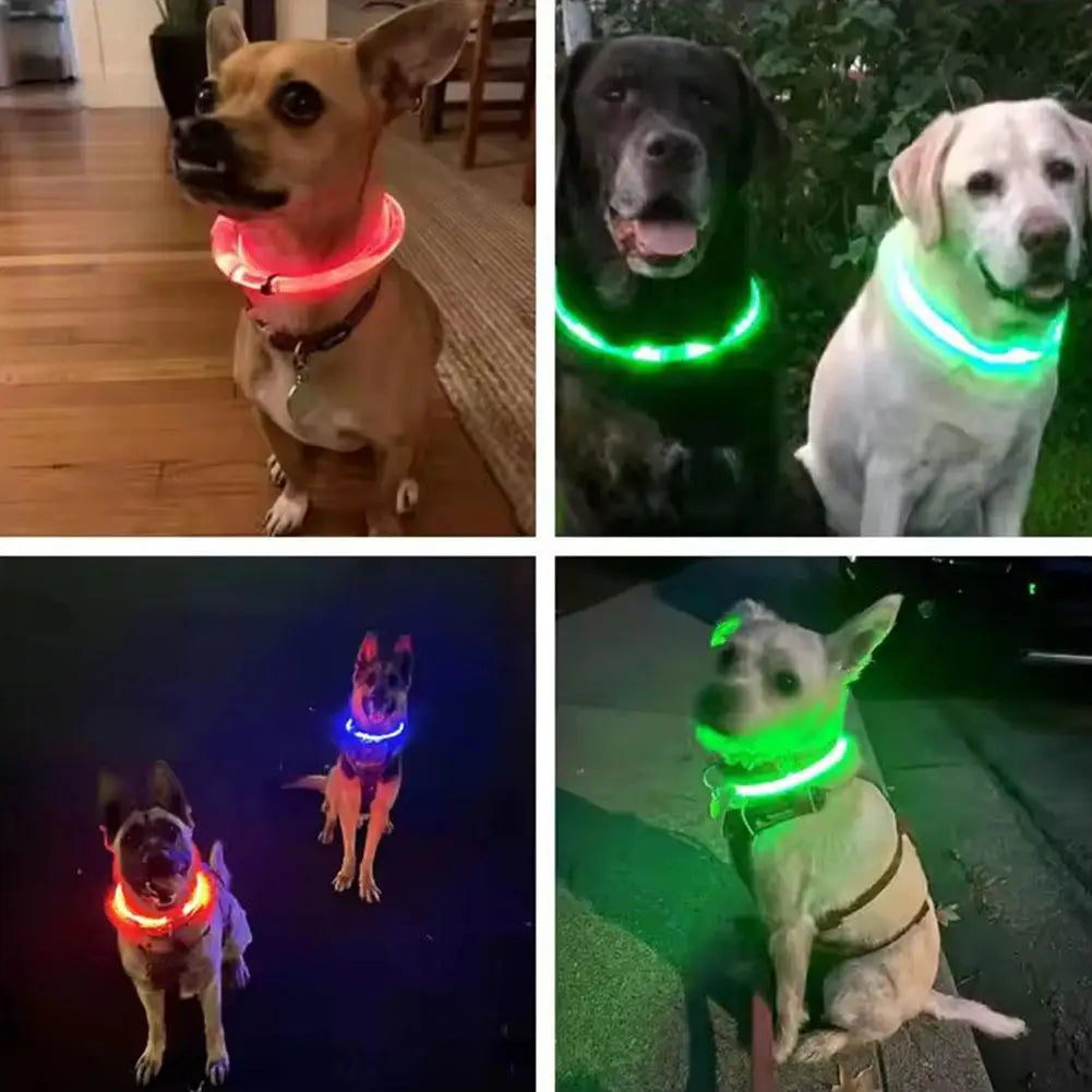 LED Dog Collar Luminous Anti-Lost