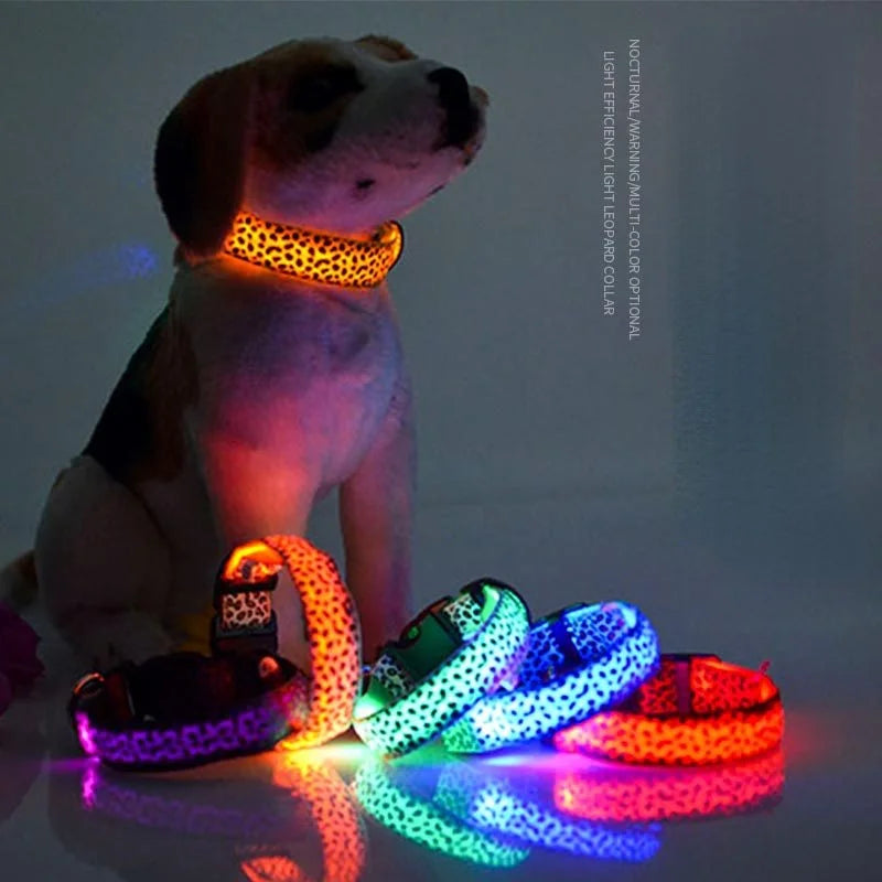LED Luminous Collar