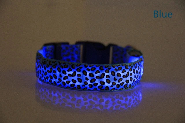 LED Luminous Collar