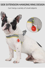 Reflective Dog Harness For Small-Medium Dogs