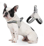 Reflective Dog Harness For Small-Medium Dogs
