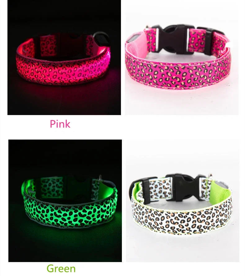 LED Luminous Collar