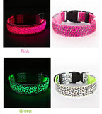 LED Luminous Collar