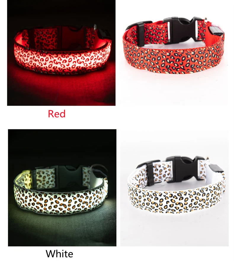 LED Luminous Collar