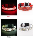 LED Luminous Collar