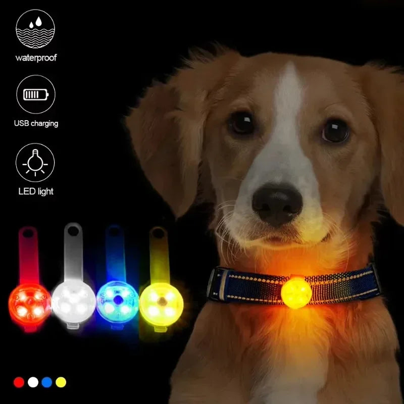 LED Pet Tracking Luminous Pendant