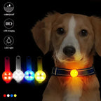 LED Pet Tracking Luminous Pendant