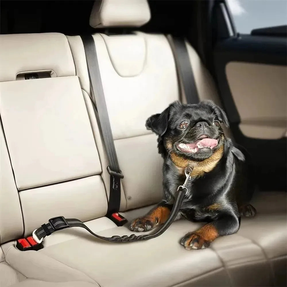 Reflective Dog Seat Belt