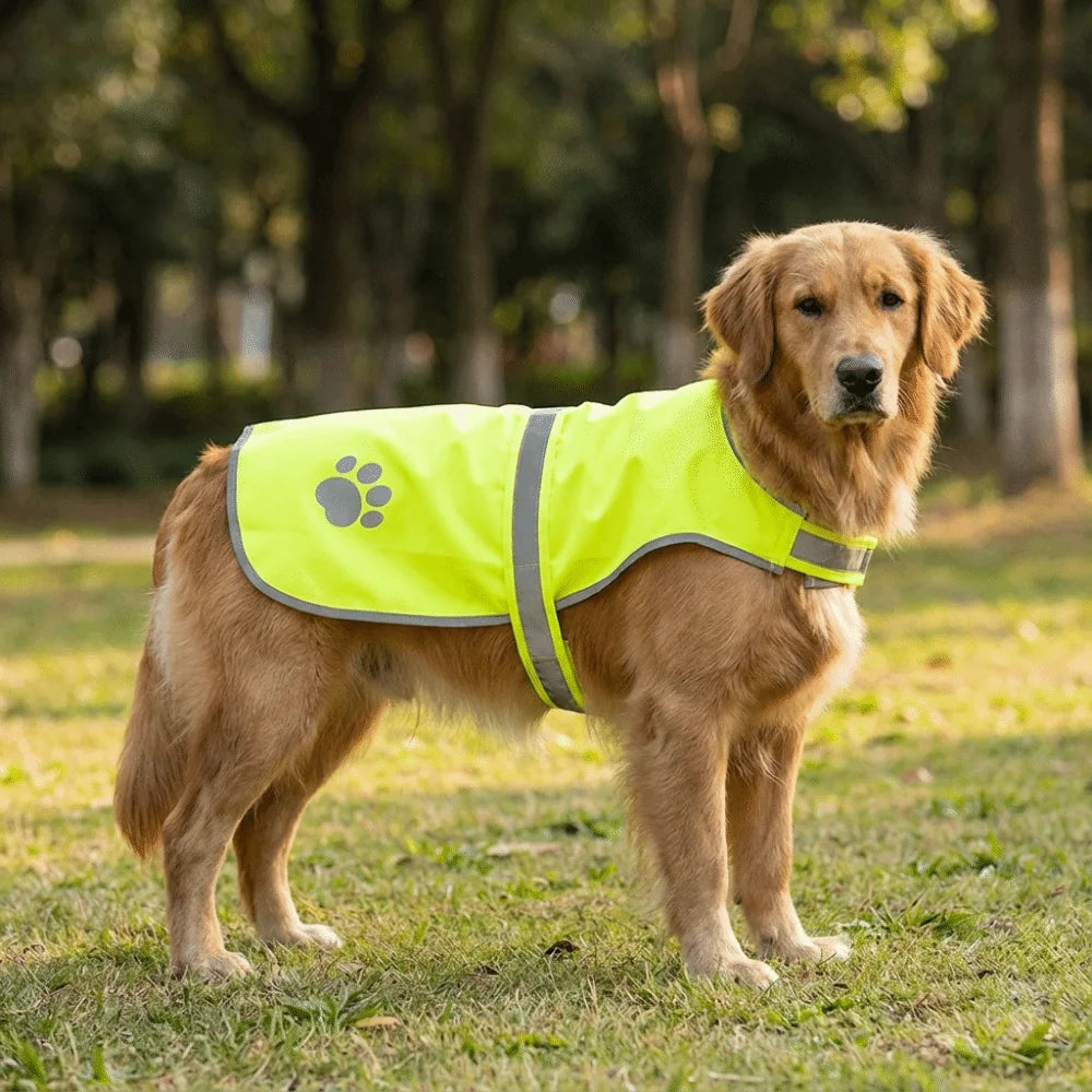 Reflective Dog Safety Vest