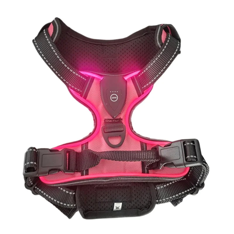 Luminous Dog Harness