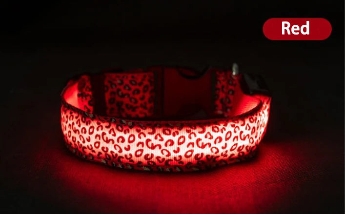 LED Luminous Collar