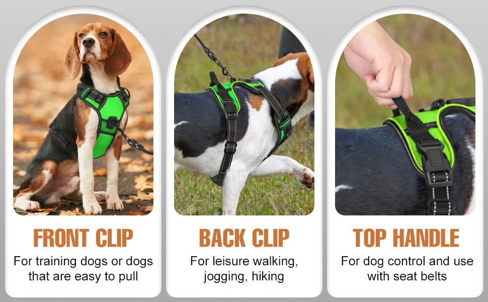 Luminous Dog Harness