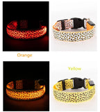 LED Luminous Collar