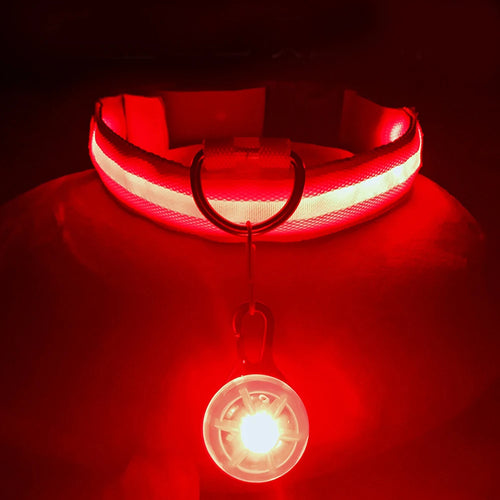 Glowing Night Pet Collar