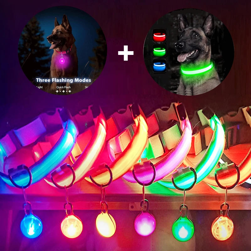 Glowing Night Pet Collar